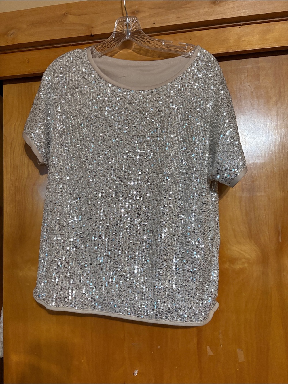 Short-Sleeve Sequin Scoop Neck Top in Champagne